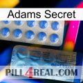 Adams Secret 40